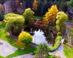 Alongside greenery and different flowers, the garden also has streams and springs which fill a new zeal in the heart of visitors.